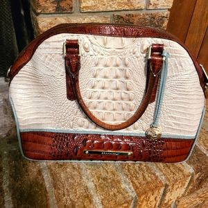 Beautiful Brahmin Purse